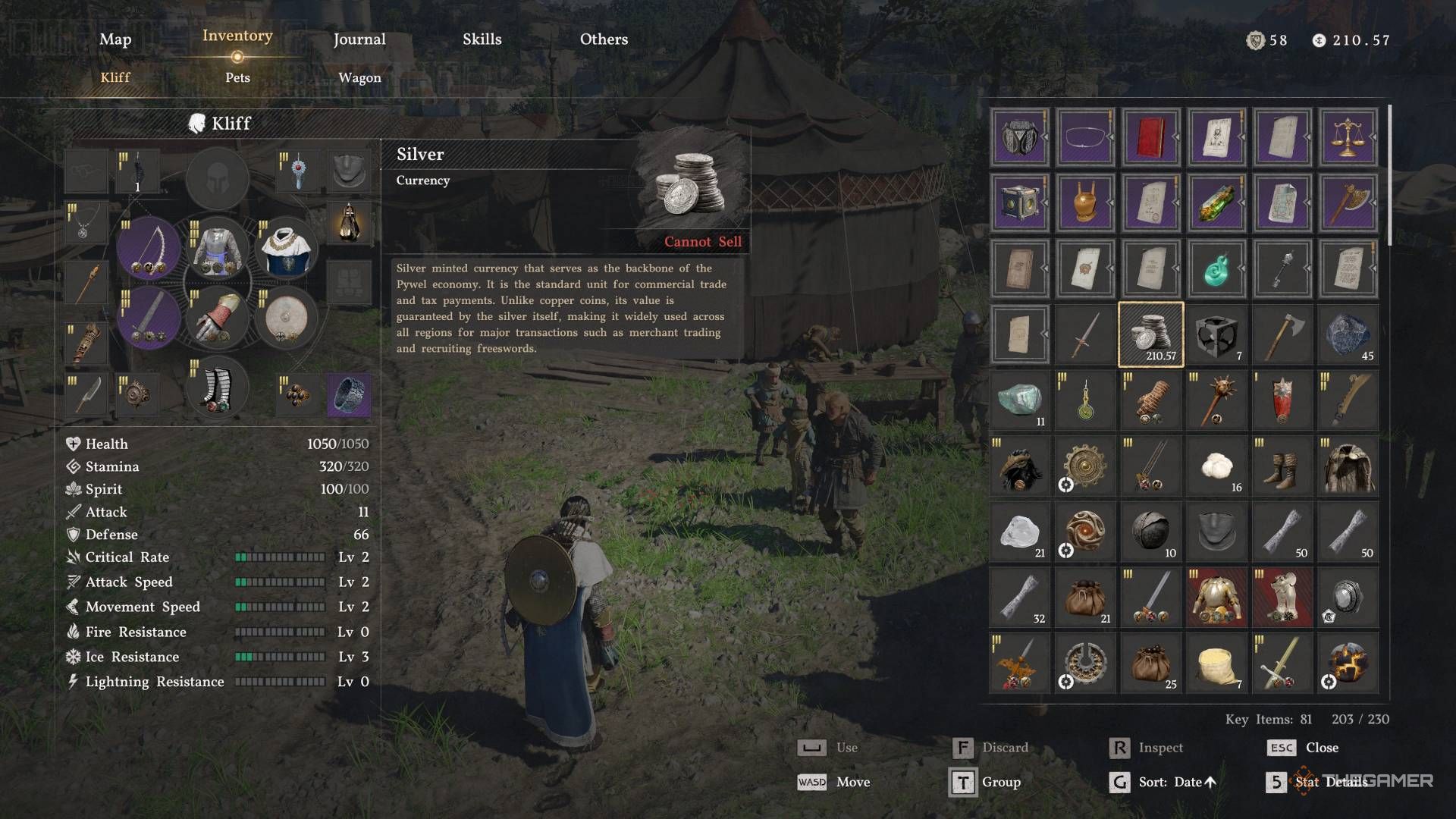 Crimson Desert inventory and bag slots