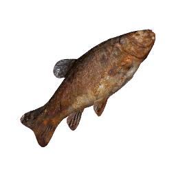 Small Grilled Fish